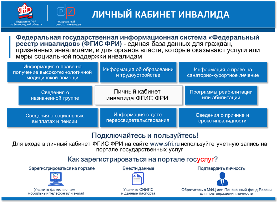 Фгис пгс. Федеральный реестр инвалидов схема.